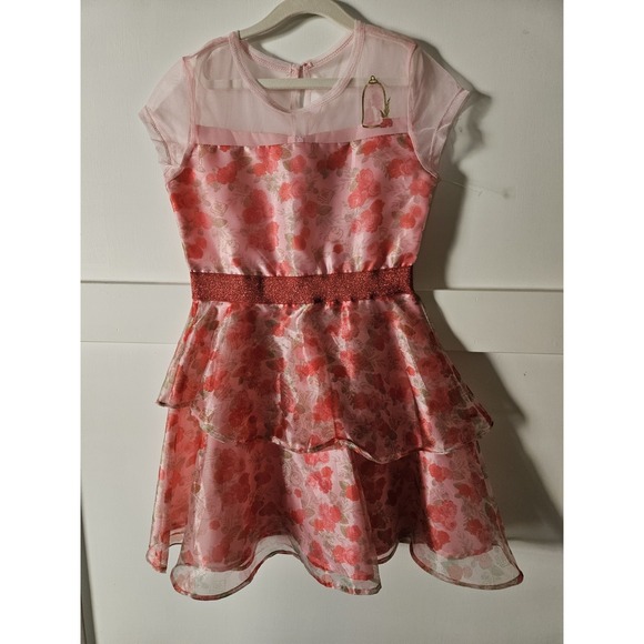 Disney Other - NWOT Disney Beauty and The Beast Pink And Red Rose Print Lined Dress, Size Med.
